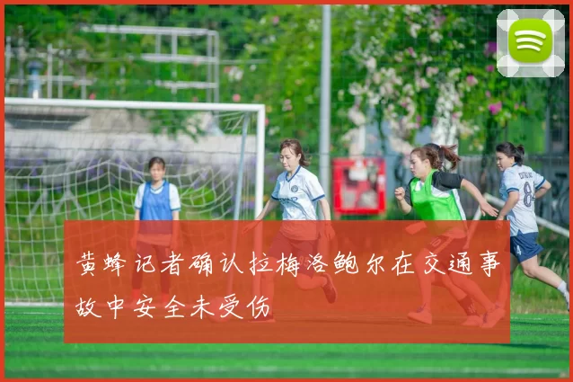 黄蜂记者确认拉梅洛鲍尔在交通事故中安全未受伤